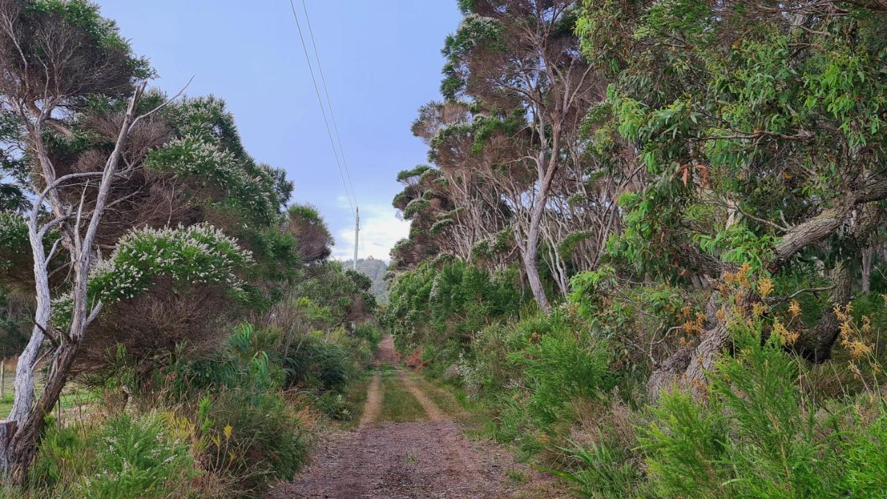 Cape Howe Cottages Lowlands エクステリア 写真