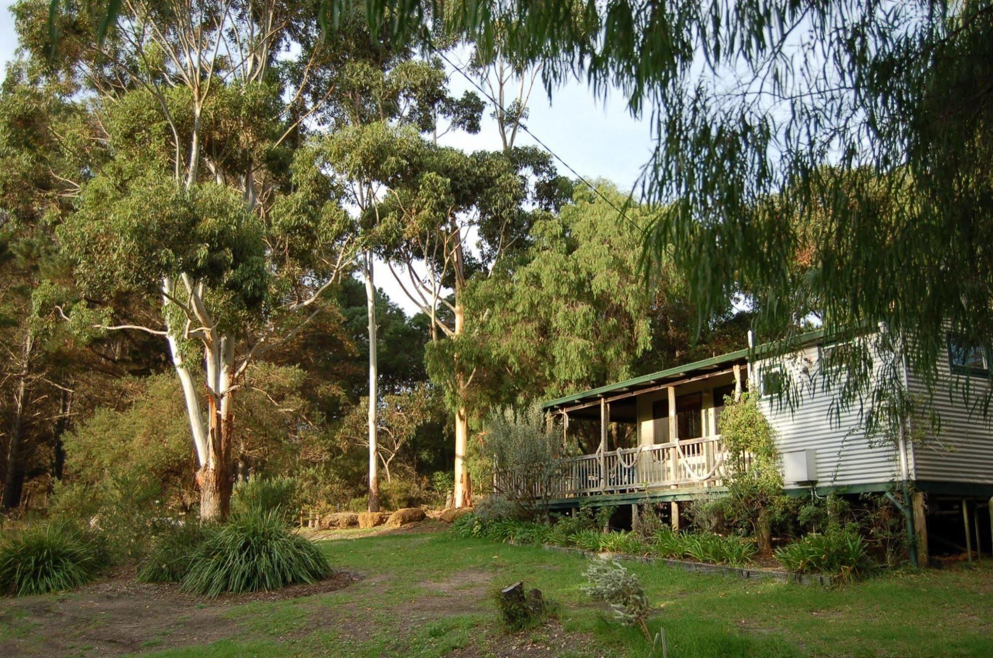 Cape Howe Cottages Lowlands エクステリア 写真